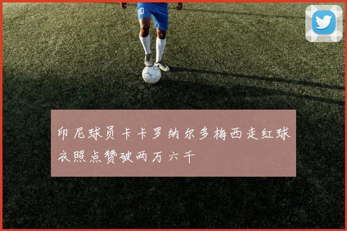 印尼球员卡卡罗纳尔多梅西走红球衣照点赞破两万六千