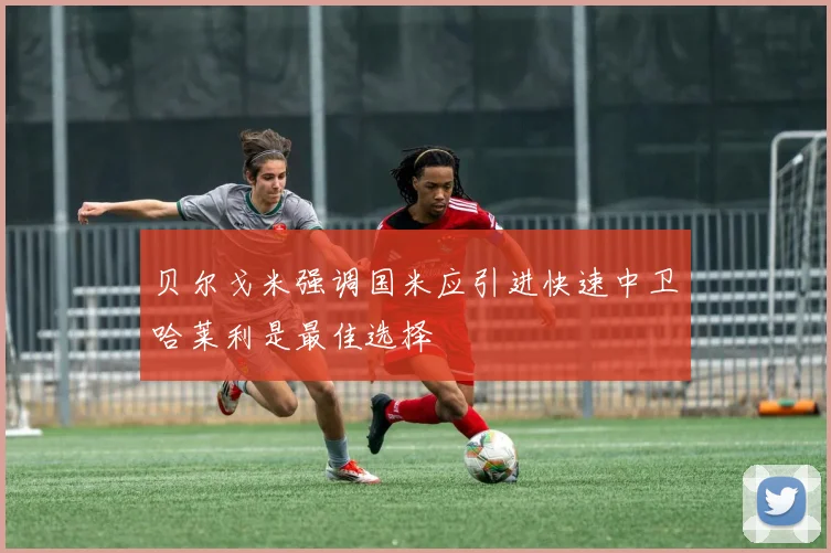 贝尔戈米强调国米应引进快速中卫哈莱利是最佳选择